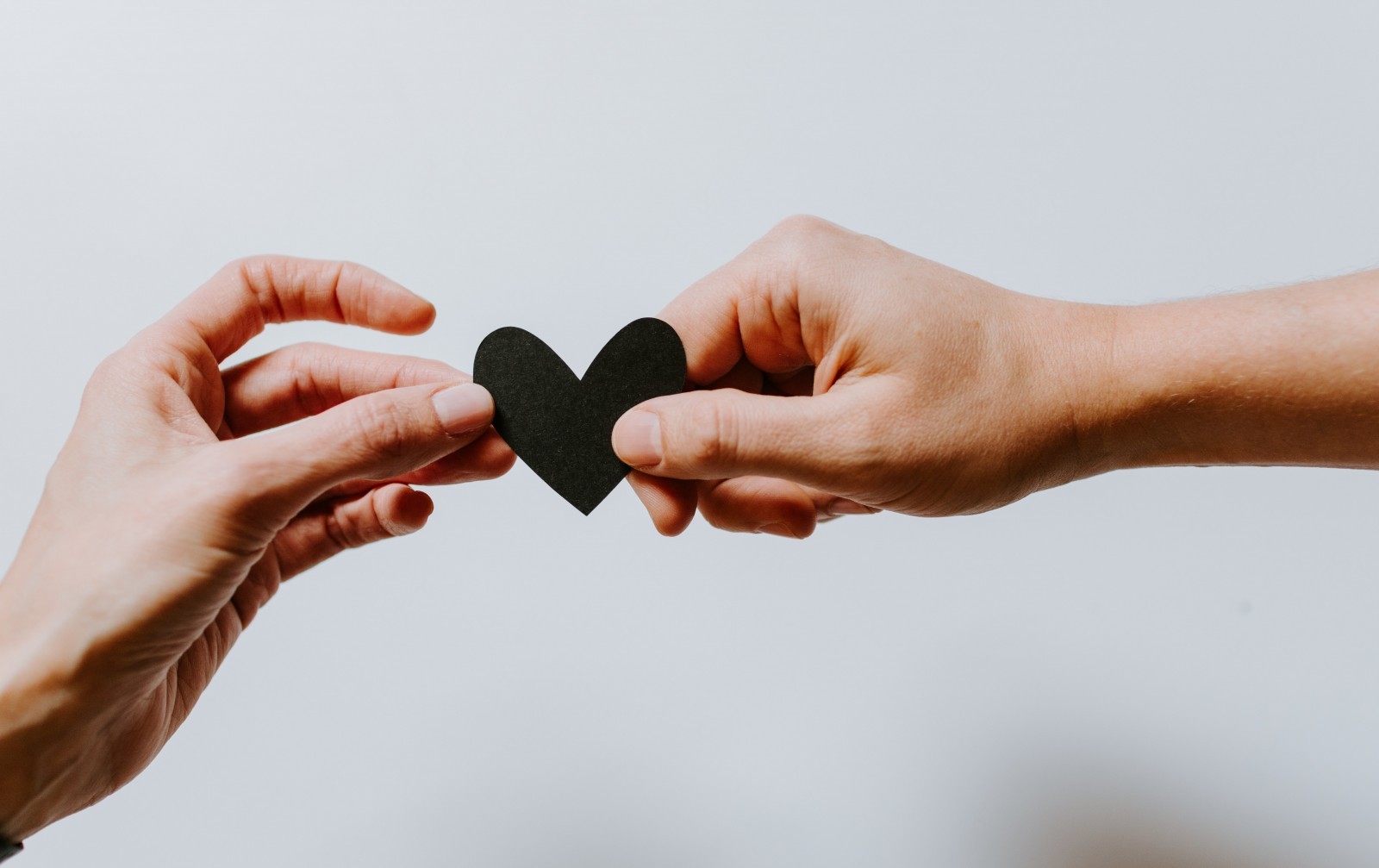 kelly-sikkema-4le7k9XVYjE-unsplash kelly-sikkema-4le7k9XVYjE-unsplash