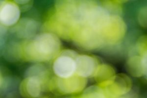 Natur Hintergrund