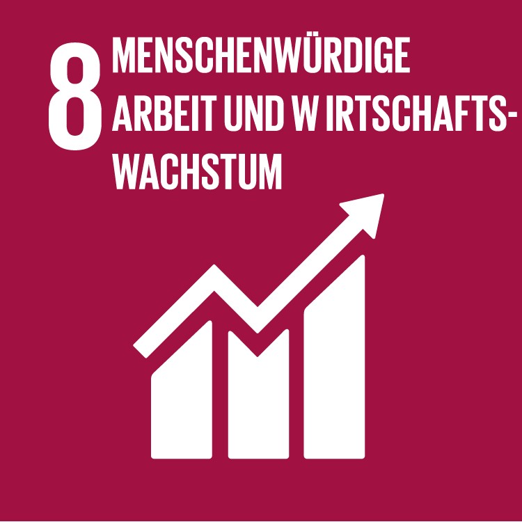 SDG 8