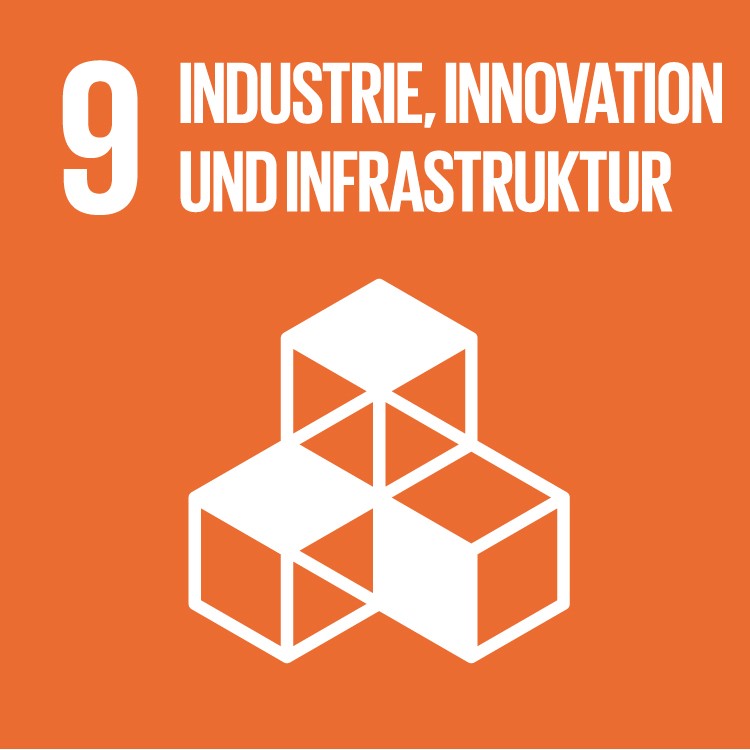 SDG 9