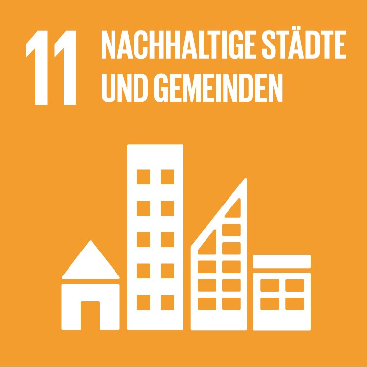 SDG 11