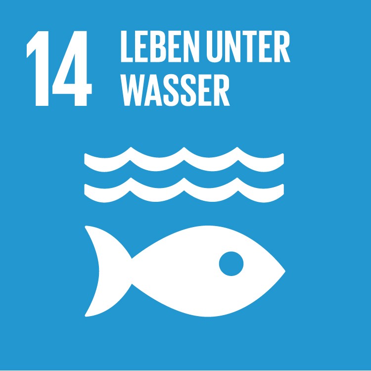 SDG 14