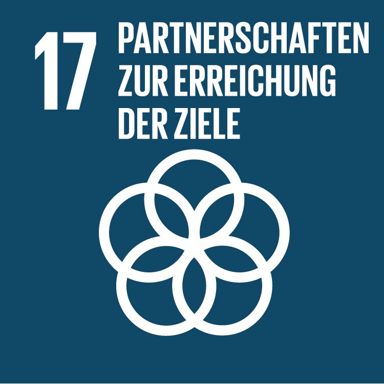 SDG 17