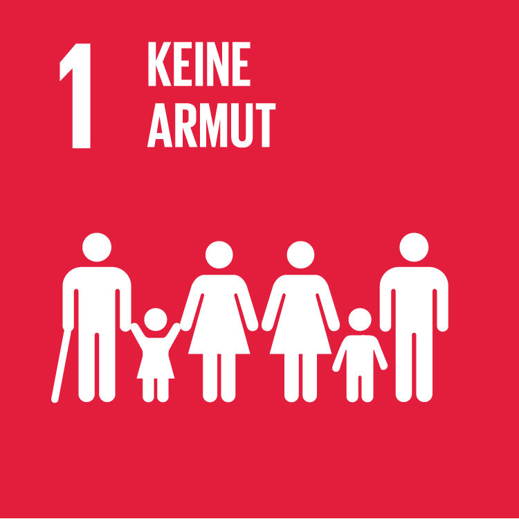 SDG 1