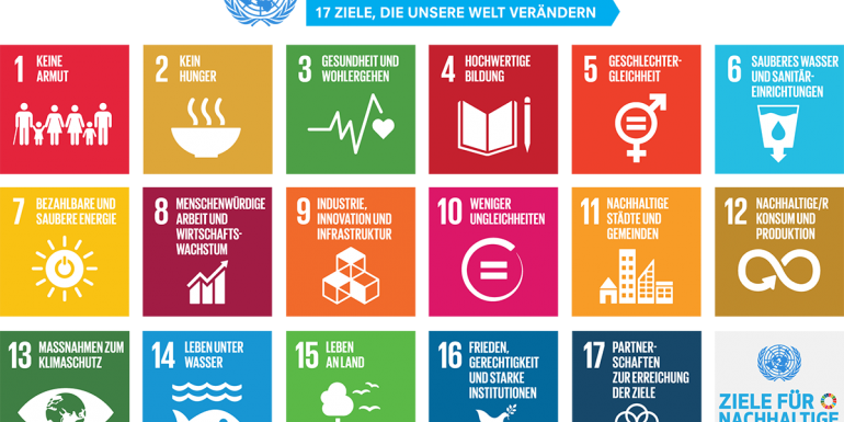 SDG cover